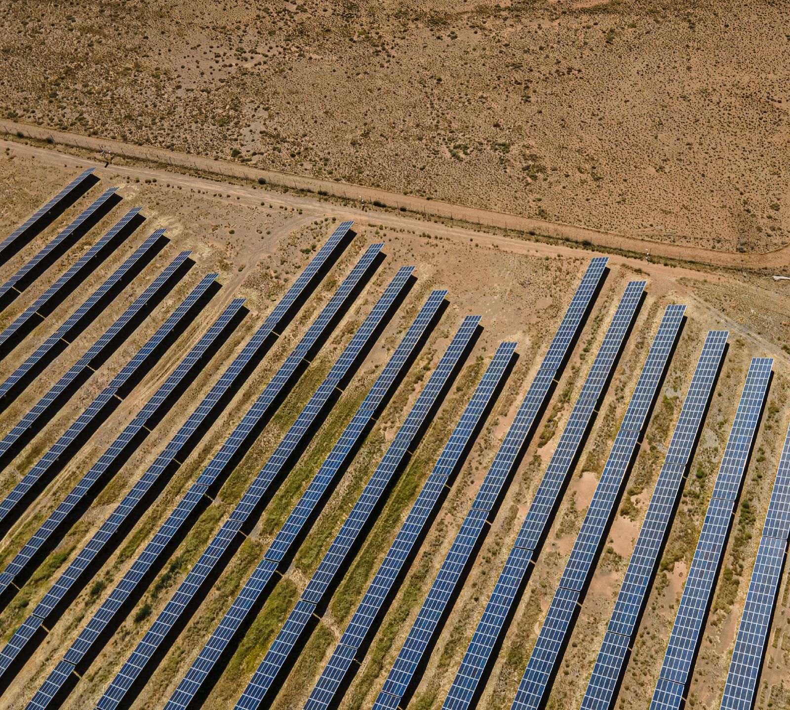 Rows of solar panels seen from above.